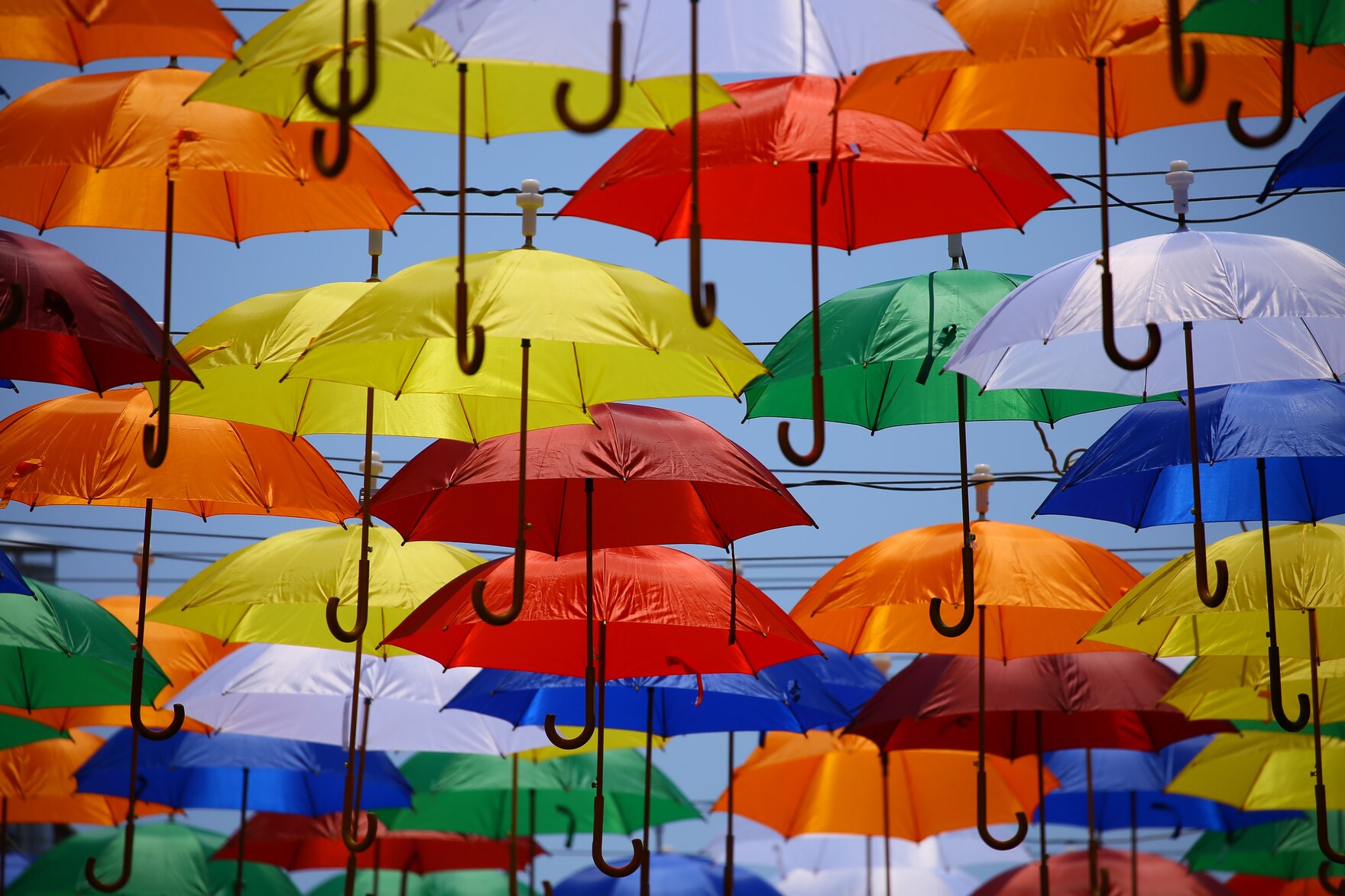 Bunte Regenschirme sind über zwischen Häuserwänden gespannten Leinen und Kabel aufgespannt.